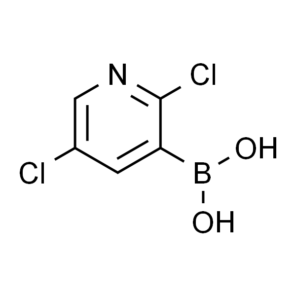 2,5-二氯吡啶-3-硼酸