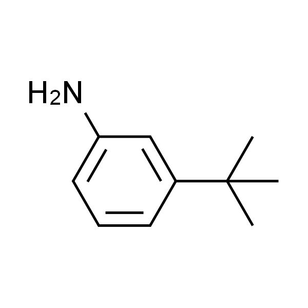 3-叔丁基苯胺