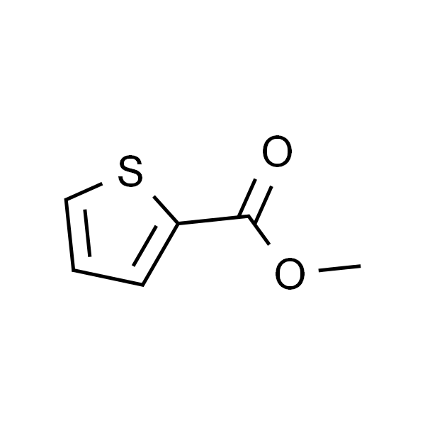 噻吩-2-羧酸甲酯