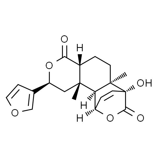 古伦宾