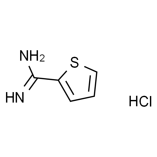 噻吩-2-甲脒盐酸盐