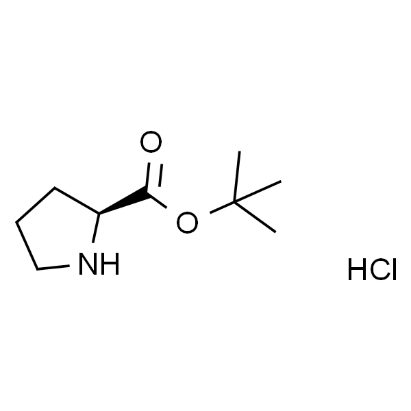 L-脯氨酸特丁酯盐酸盐