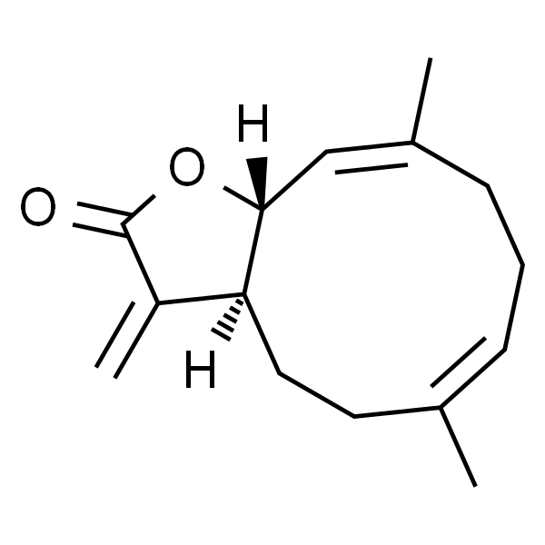 木香烃内酯