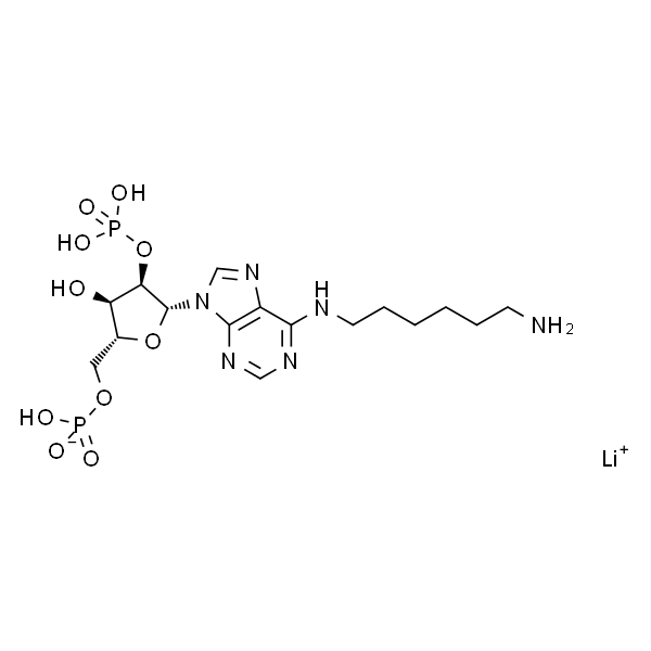 N6-(6-氨基己基)腺苷 2′,5′-二磷酸 锂盐