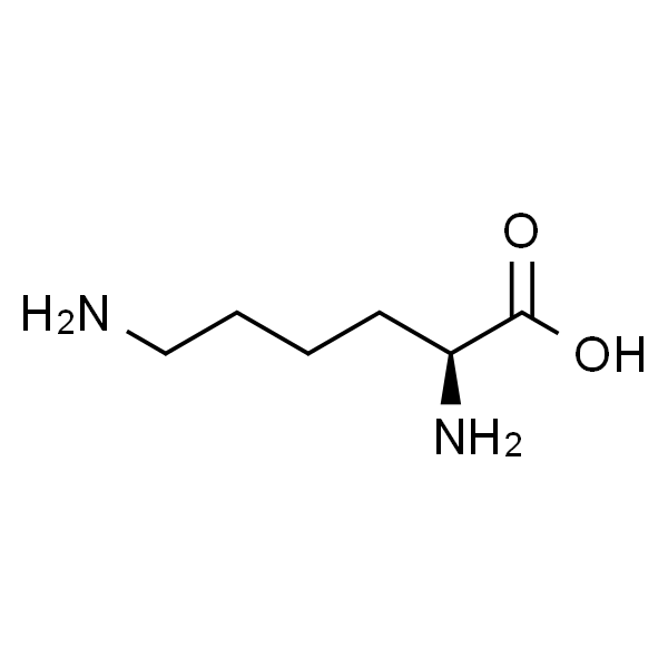 L-赖氨酸