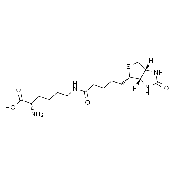 (S)-2-氨基-6-(5-(((3aS,4S,6aR)-2-氧代六氢-1H-噻吩并[3,4-d]咪唑-4-基]戊酰胺基)己酸