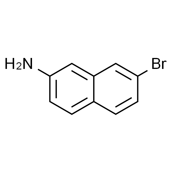 7-溴萘-2-胺