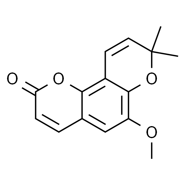 布拉易林