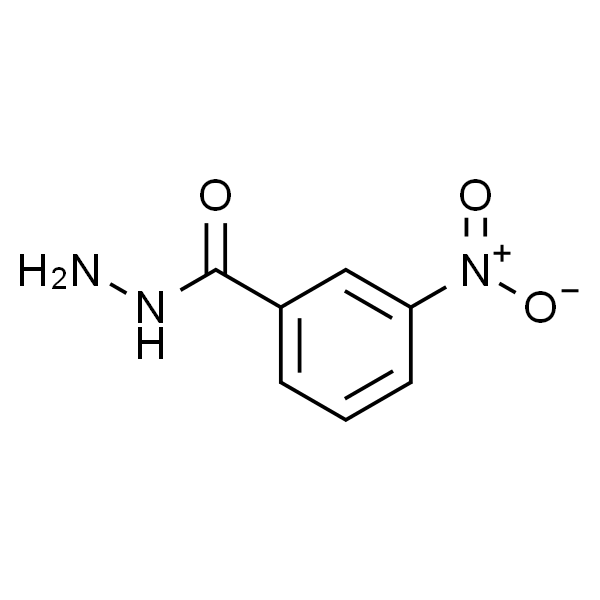 3-硝基苯酰肼