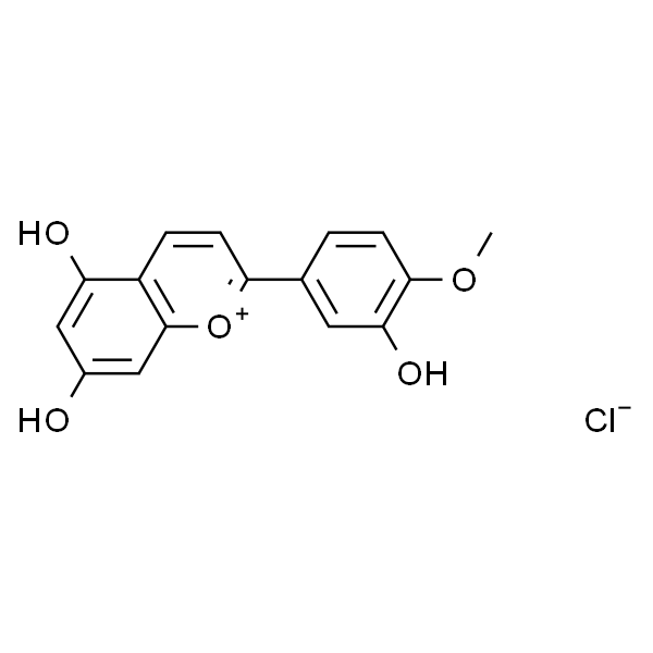 Diosmetinidin chloride