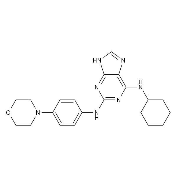 N6-环己基-N2-(4-吗啉苯基)-9H-嘌呤-2,6-二胺