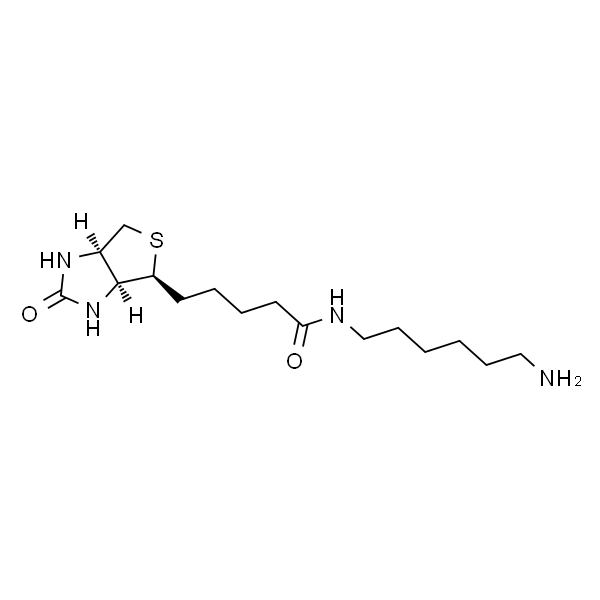 N-生物素基-1，6-己二胺