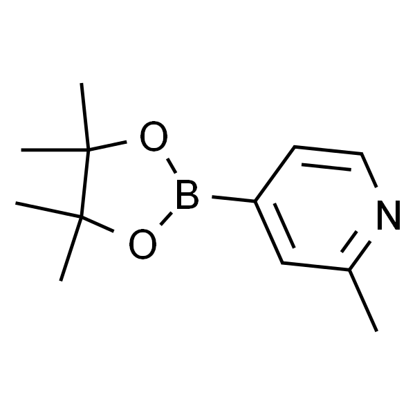 2-甲基-4-吡啶硼酸频呐醇酯