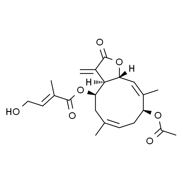 Chromolaenide