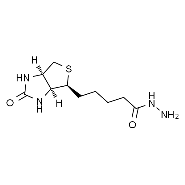 生物素酰肼