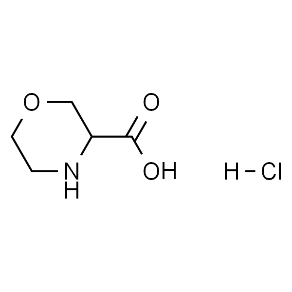 3-吗啉甲酸盐酸盐