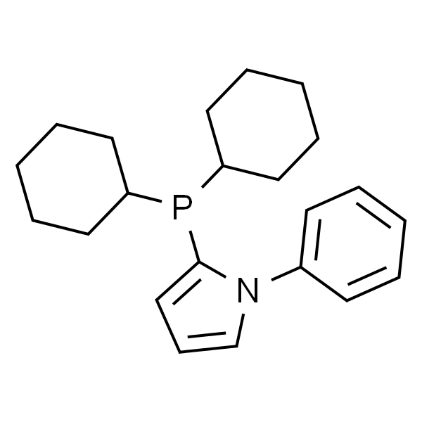 N-苯基-2-二环己基膦吡咯