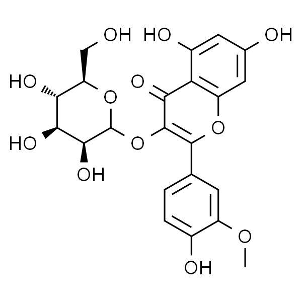 异鼠李素 3-O-半乳糖苷