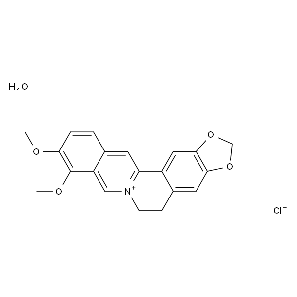 Berberine chloride hydrate