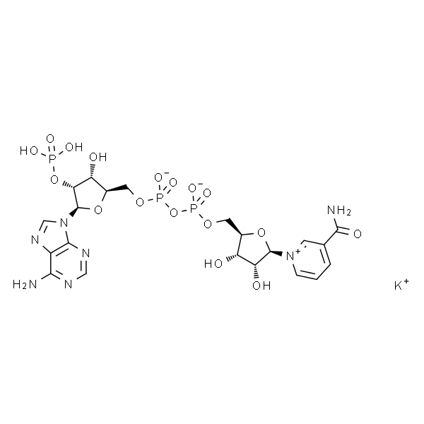 腺嘌呤二核苷酸磷酸单钾盐