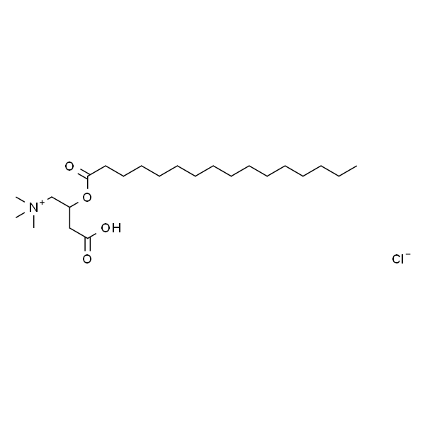 Palmitoyl-DL-carnitine chloride powder