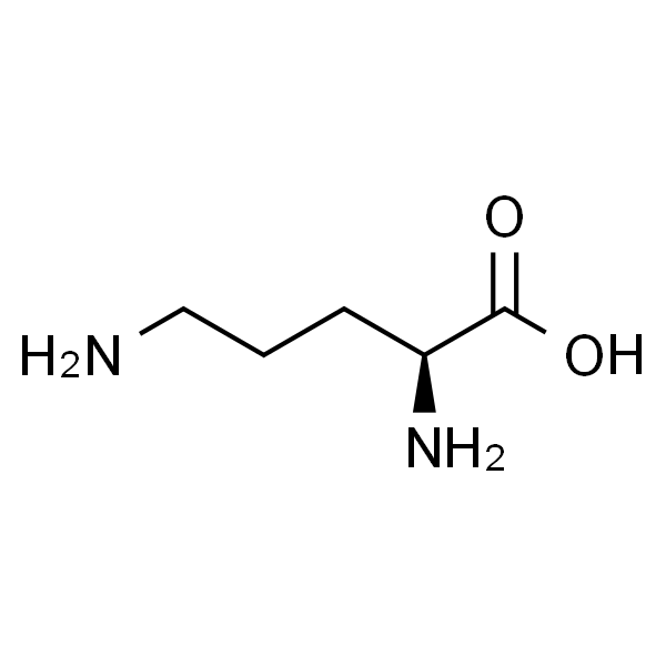 L-鸟氨酸