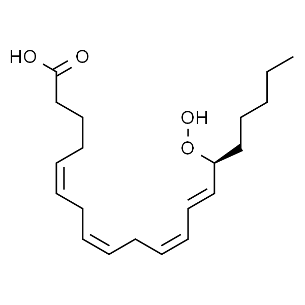 15(S)-Hydroperoxy-(5Z,8Z,11Z,13E)-eicosatetraenoic acid ~100 mug/mL in ethanol, 