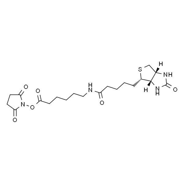 N-琥珀酰亚氨基6-生物素氨己酸