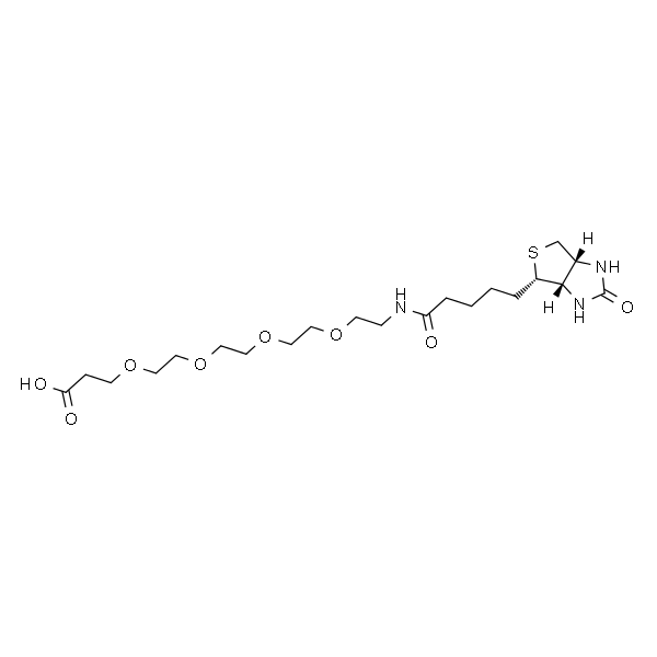 生物素-PEG4-丙酸