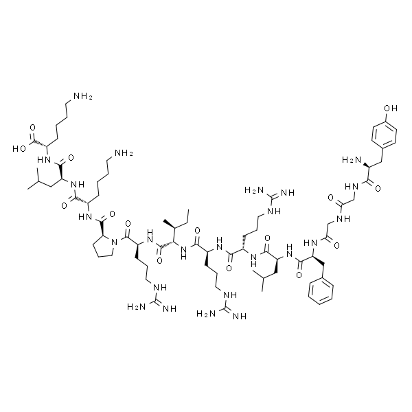 强啡肽A(1-13),猪
