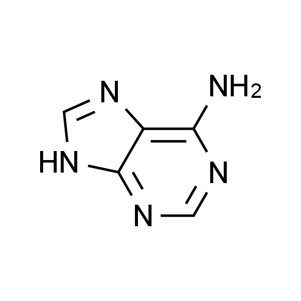 腺嘌呤