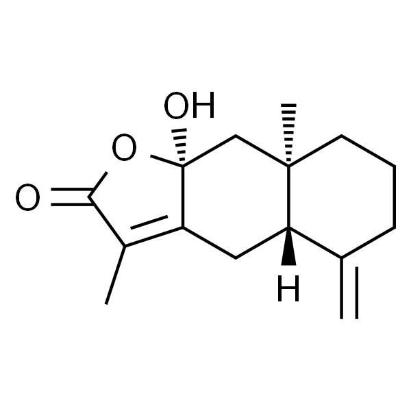 白术内酯III