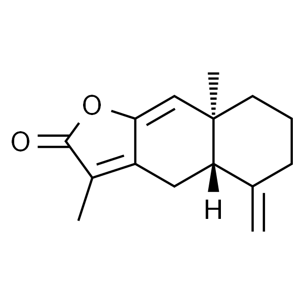 白术内酯Ⅰ