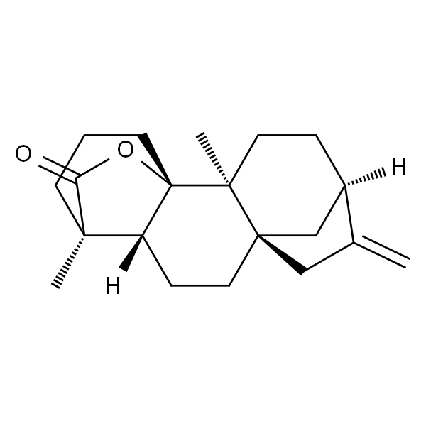 Tetrachyrin