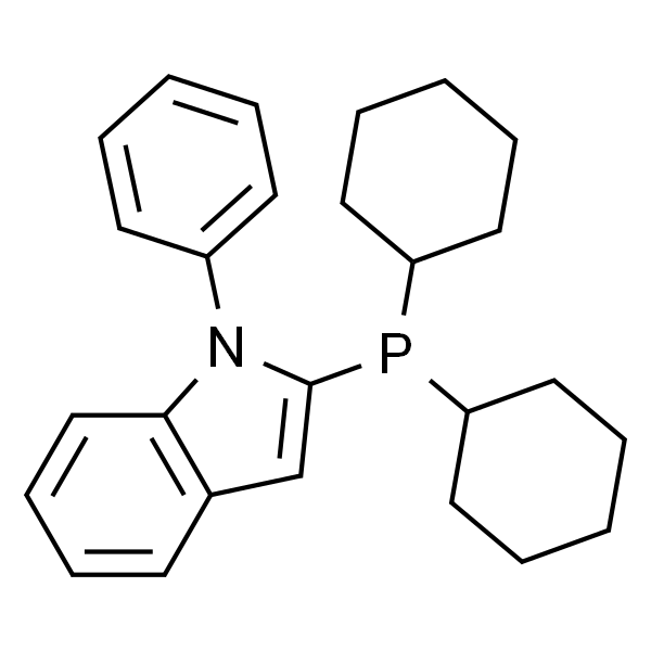 N-苯基-2-二环己基膦吲哚