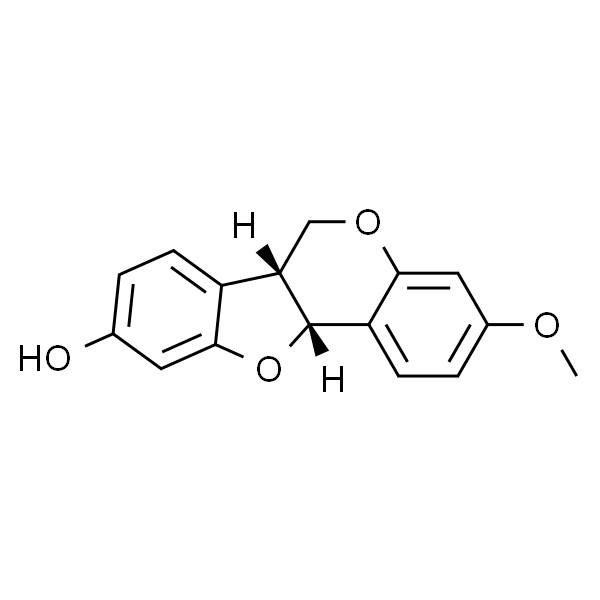 异美迪紫檀素