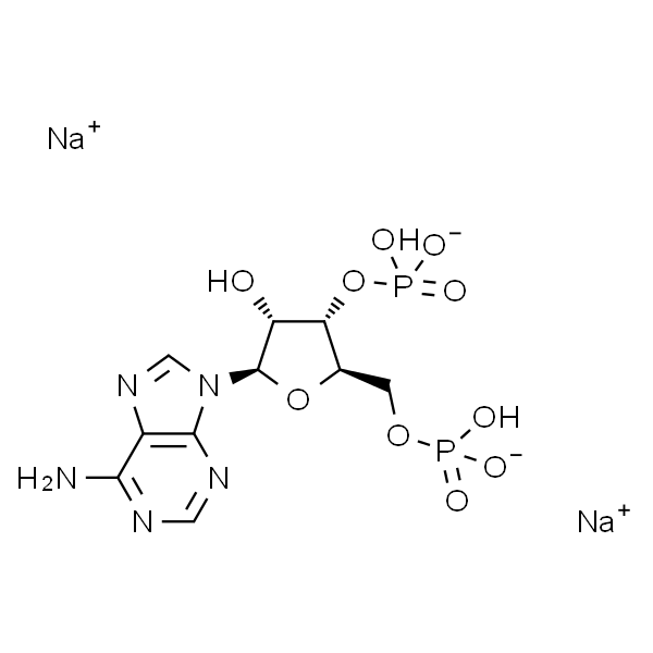 Adenosine 3',5'-diphosphate disodium salt 