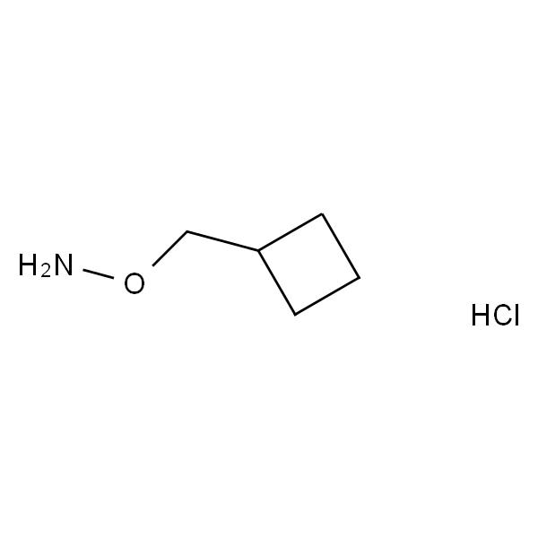 O-(环丁基甲基)羟胺盐酸盐