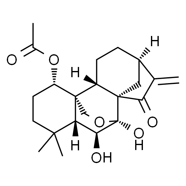 疏展香茶菜宁B