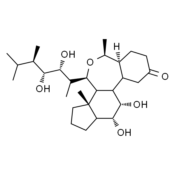 24-表油菜素内酯