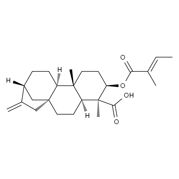 ent-3β-Tigloyloxykaur-16-en-19-o