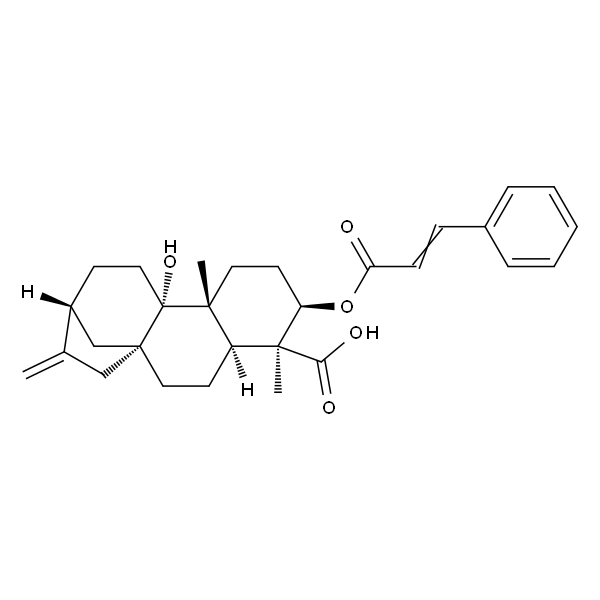 3α-Cinnamoyloxypterokaurene L3