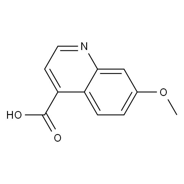 7-甲氧基喹啉-4-甲酸