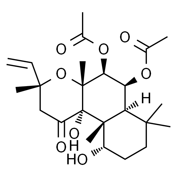 毛喉帖 J