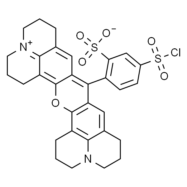 磺基罗丹明101 磺酰氯
