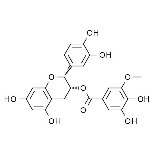 表儿茶素3-O-(3''-O-甲基)没食子酸酯