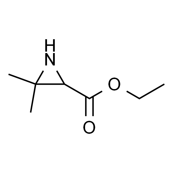 2-氮丙啶羧酸-3,3-二甲基-乙基酯