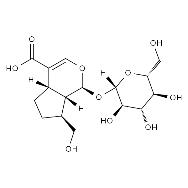 五福花苷酸