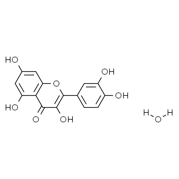 槲皮素 水合物