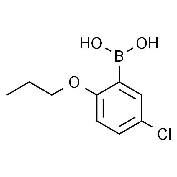 5-氯-2-丙氧基苯基硼酸